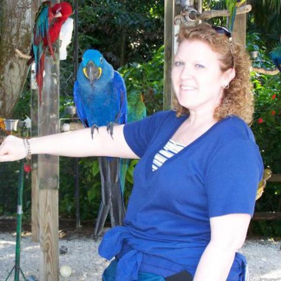 Meet your Posher, Dawn - Picture 1 of 1